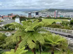 Looking over Wellington