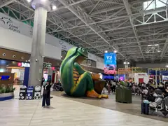 Terra infirma