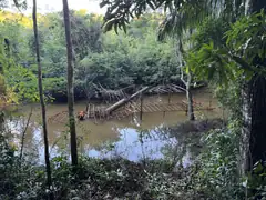 The ruined steamboat