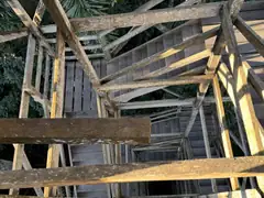 Treetop walk tower