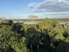 Treetop walk