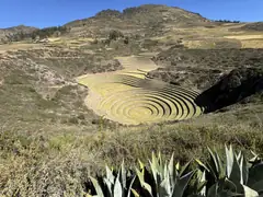 Moray