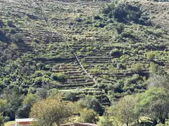 Incan farming terraces