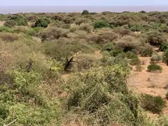 lake_manyara.jpeg