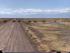 single_file.jpeg