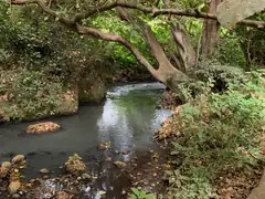 usa_river.jpeg