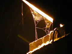 Cobweb in Coventry