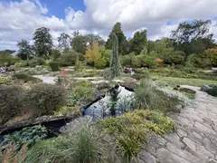 RHS Wisley and a Lucky Star