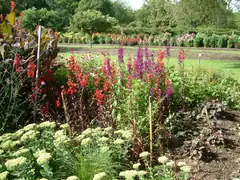Savill Garden