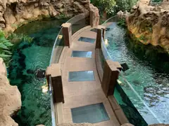 Gran Canaria aquarium