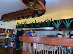 Lanzarote cacti garden