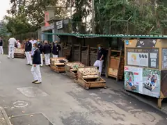 Madeira