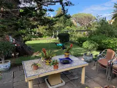 Orchid Gardens on Tenerife