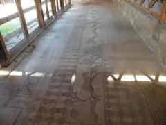 Paphos mosaic