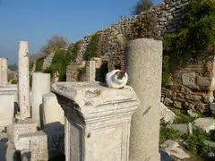 Ephesus - one of the many cats