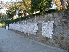 Wishes here