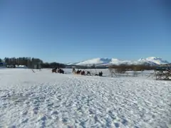 tromso_rein_party.JPG