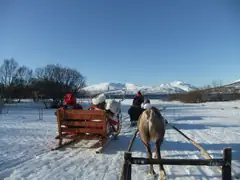 Our reindeer pulling us along