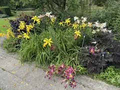 Harold Hillier gardens