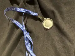 The all-important medallion
