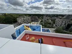 The roof