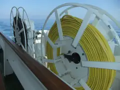 Hoses
