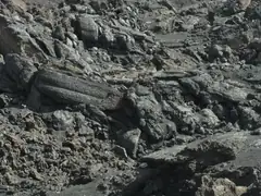 Twisted rock from lava flow at Mt Etna