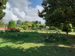 Nice