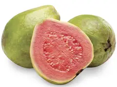 Guava