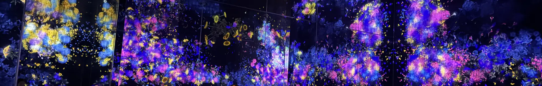 TeamLab Borderless Tokyo